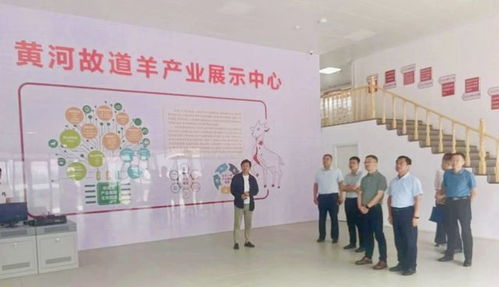 山東省人社廳赴單縣調(diào)研，推動(dòng)羊肉湯專項(xiàng)職業(yè)技能培訓(xùn)品牌化與規(guī)范化發(fā)展